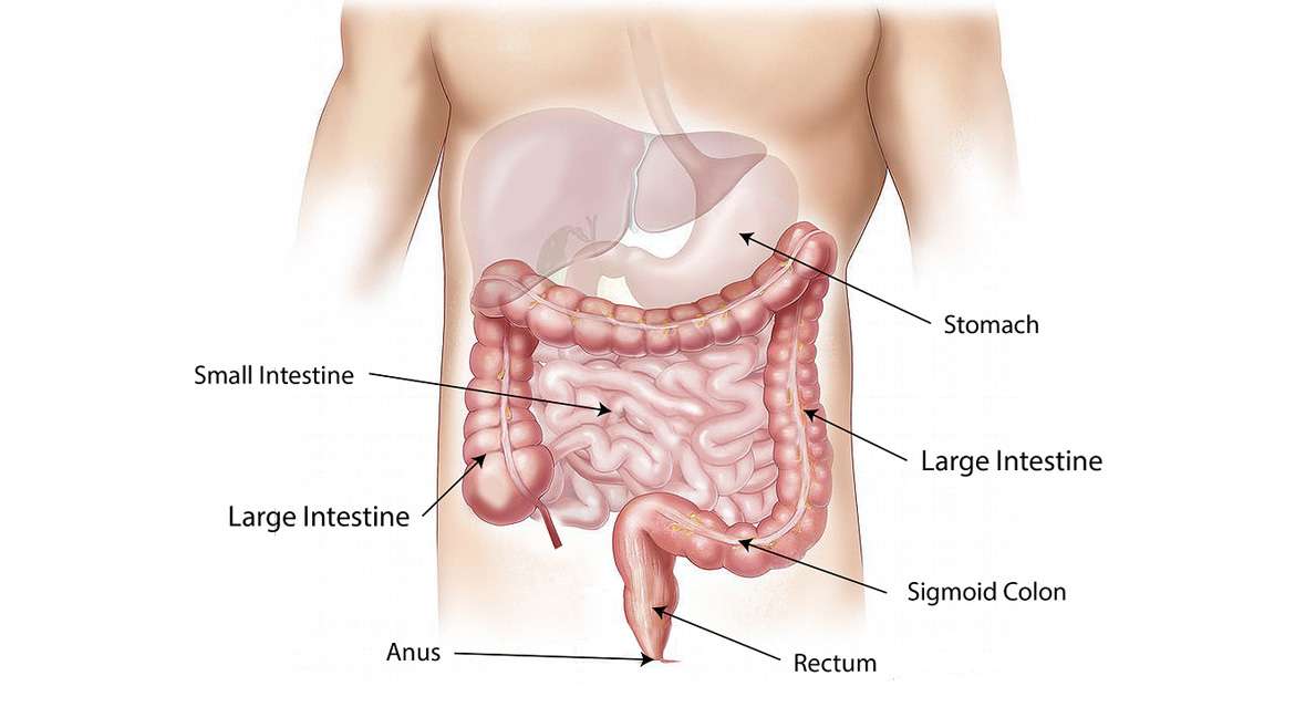 Urgent Care Colonoscopy Cancer Screening